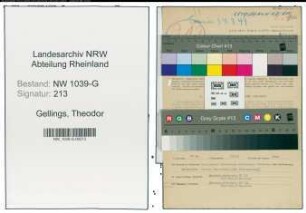 Entnazifizierung Theodor Gellings , geb. 24.11.1908 (Angestellter)