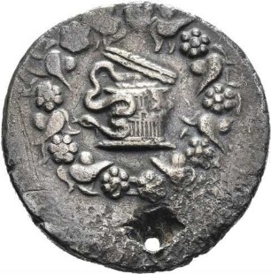 Laodikeia