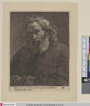 [Alter Mann; Old man]