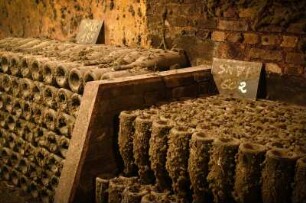 Frankreich. Champagne Ardenne. Marne. Epernay. Champagner Kellerei. De Castellane. Champagner Flaschen im Keller. 30 bis 40 Jahre alte Flaschen in Ruhezeit