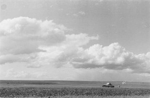 Zweiter Weltkrieg. Frontbilder. Sowjetunion. Ebene Landschaft mit Panzer