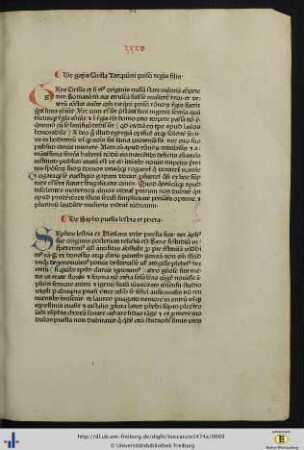 De Sapho puella lesbia et poeta