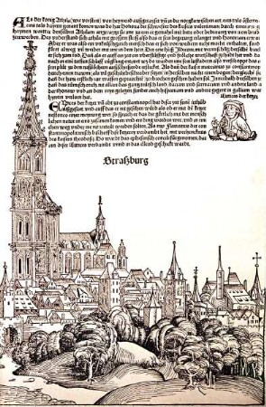 Schedelsche Weltchronik & Nürnberger Chronik — Ansicht von Straßburg, Folio 140recto