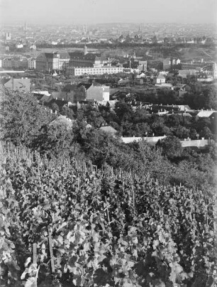 Blick vom Reisenberg auf Wien