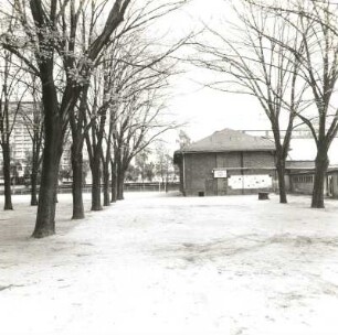 Cottbus. Realschule, Bahnhofsstraße 11/Ecke August-Bebel-Straße. 1890, 1893 Erweiterungsbau. Turnhalle, Seitenansicht und Baumallee