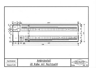 Anbindestall 40 Kühe mit Nachzucht