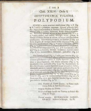 Class. XXIV. (Cryptogamia)