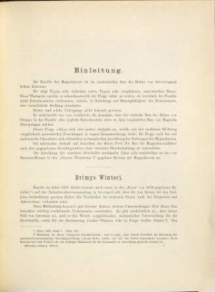 Vergleichende Anatomie des Holzes der Magnoliaceen