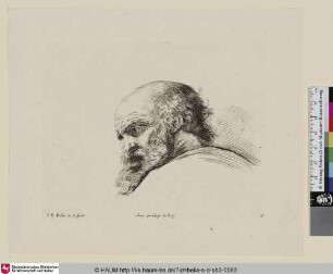 [Kopfstudie eines Greises im Profil; Tête de vieillard chauve ...; Study of the head of an old man ...]