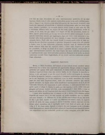 Apparato digerente.