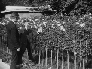 Szene aus dem Dokumentarfilm "Bilder von der Frühjahrsblumen-Eröffnungsschau der Jubiläums-Gartenbau-Ausstellung": Besucher auf dem Ausstellungsgelände