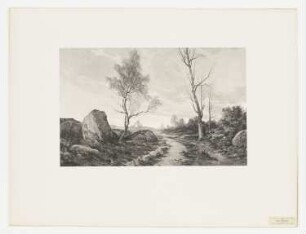 Étude de bouleaux, Blatt 16 der Folge "Le paysage au fusain"