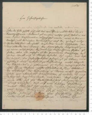Brief von Carl Friedrich Philipp von Martius an Adelbert von Chamisso