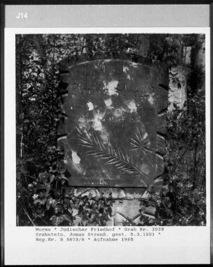 Grabstein von Jonas Strauß (gestorben 1901.03.05)