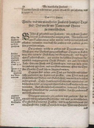 Das VII. Capitel. Welche/ vnd wie mancherley Zauberer heutiges Tags sind: Vnd wie sie mit Namen vnd Thaten zu vnterscheiden.