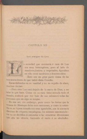 Capítulo XII - Los amigos de Luz