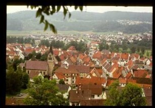 Stadtansicht von Fridingen