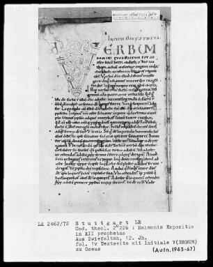 Haimonis enarratio in prophetas minores — Initiale V(erbum), Folio 1verso