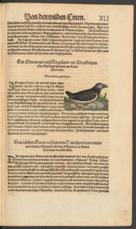 Von etlichen Enten deß nideren Teütschen lands unnd meerstetten/ Meancken/ Teling/ Slupen/ etc. so kleiner sind dann die wild Ent.
