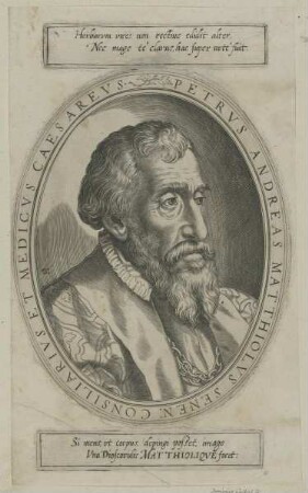 Bildnis des Pietro Andrea Matthioli