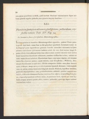 XLI. Plumbum spatosum album crystallisatum, pellucidum, crystallis cubicis Tab. XV. Fig. 34
