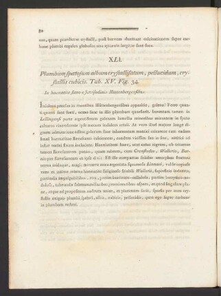 XLI. Plumbum spatosum album crystallisatum, pellucidum, crystallis cubicis Tab. XV. Fig. 34