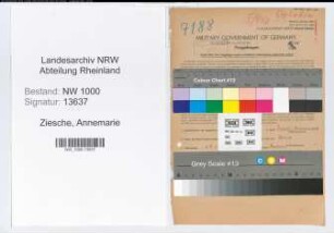 Entnazifizierung Annemarie Ziesche, geb. 06.05.1900 ()
