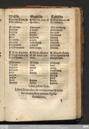 Liber secundus, de nominibus & verbis, secundum eorum significationes.