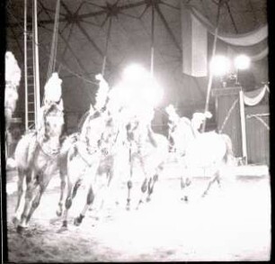 Circus Williams - Vorstellung - Tiere, ohne Ortsangabe, 1959