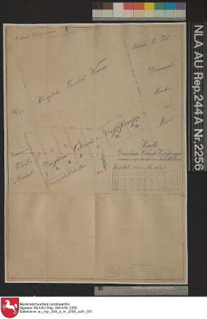Plan der Kolonatsvergrößerungen der Kolonie Duinghausen in der Nähe des Forstortes WIESENS Kolorierte Zeichnung von Förster Hickstein Papier auf Leinen Format 57,0x39,7 M 1:3.200