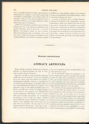 Animaux articulés.