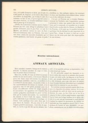 Animaux articulés.