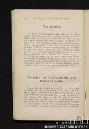 10. Das Begießen.