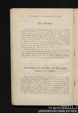 10. Das Begießen.