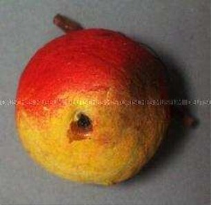 Apfel an Ast