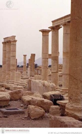 Tempel des Nabu