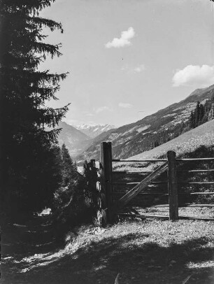 Gatter : Blick über ein Gatter in Richtung des Großvenedigers ( 3677m)
