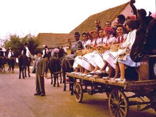 Pferdefuhrwerk, zweispännig, mit Plattenwagen, darauf Frauengruppe in Trachten : Bulgarien. "Rumänisches Dorffest". Pferdefuhrwerk, zweispännig, mit Plattenwagen, darauf Frauengruppe in Trachten