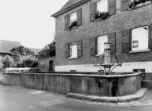 Brunnen und Viehtränke; Wölfersheim, Hauptstraße (bei Nr. 48)