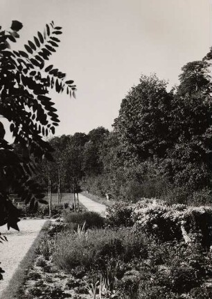 Hakeburg (Wohnsitz des Reichspostministers), Kleinmachnow: Weg im Garten