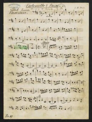 Violoncello & Basso