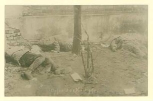 "Opfer der Kämpfe."; Drei Erschossene vor einer Wand.