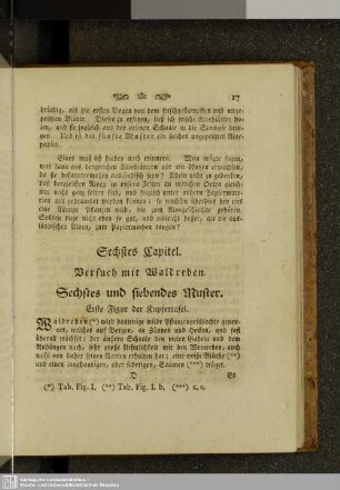 Sechstes Kapitel. Versuch mit Waldreben. Sechstes und siebendes Muster.