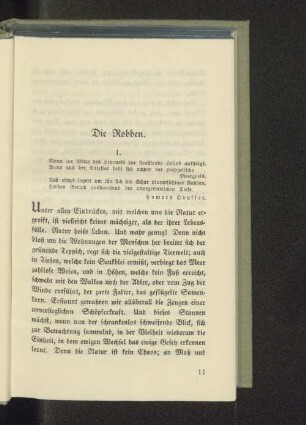 Die Robben.