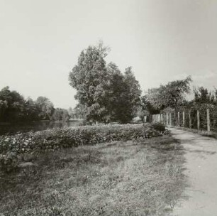 Parkweg am Spreeufer