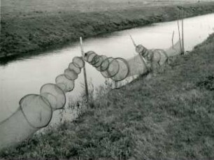 Netze an den Abflußgräben, Wilstermarsch, Norddeutsche Küste