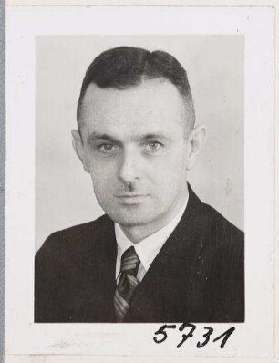 Ludwig Remy, Vermessungstechniker