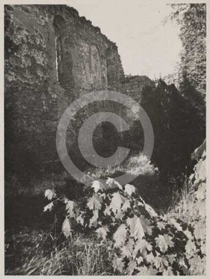Langhauswand der Kirchenruine Neukirch von SW