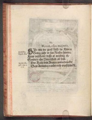 12. Minor, esca minoris.