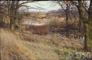 Potsdam, Park Sacrow, Der "Archipel" unweit der Römischen Bank bei Frühjahrshochwasser.